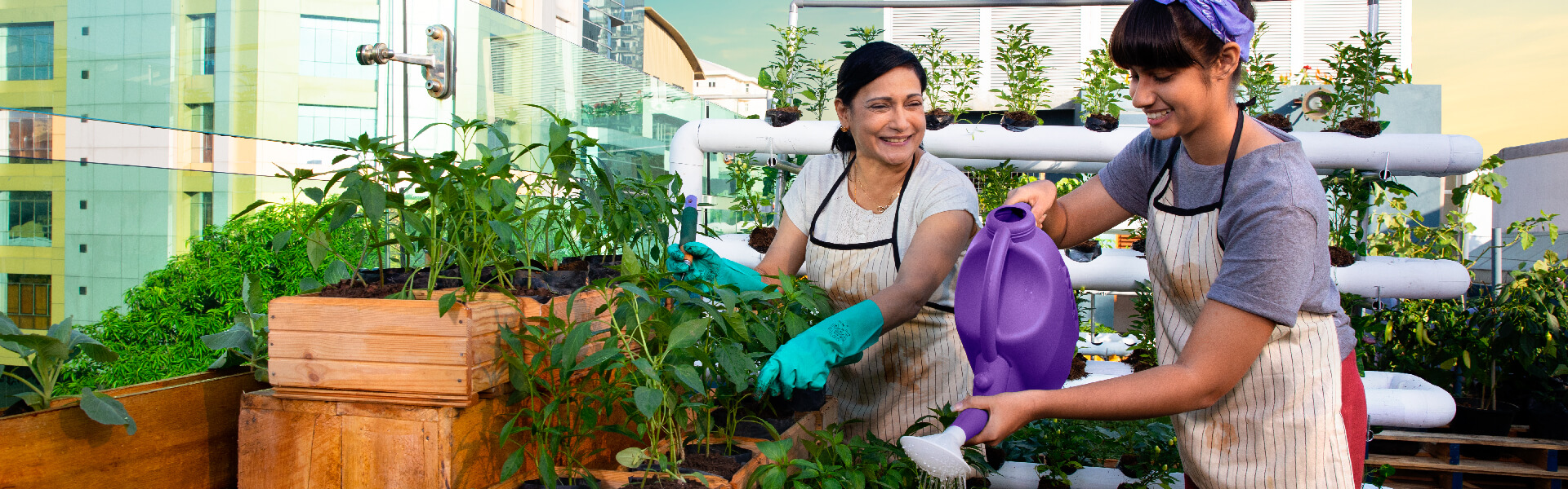 Softlogic Life Protected Investment Plan Life